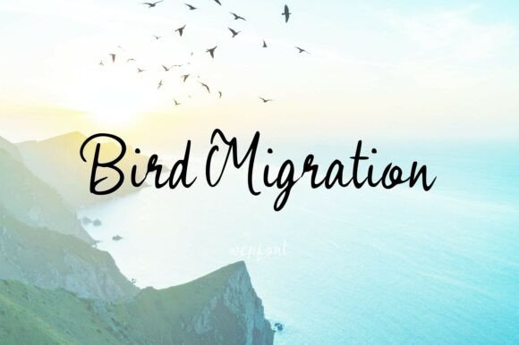 Bird Migration: A Strategic Asset for Authentic Brand Storytelling