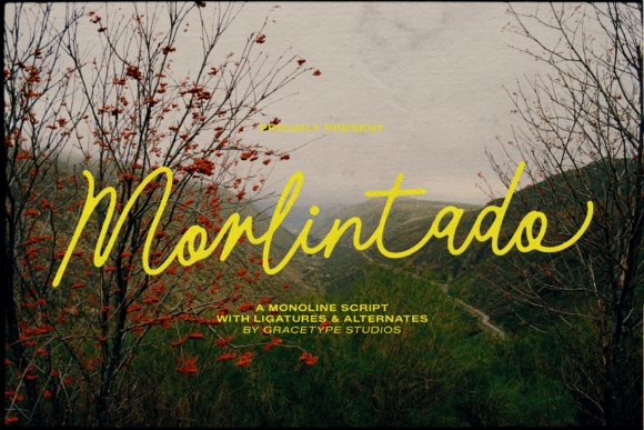 Morlintado: A Study in Refined Monoline Script
